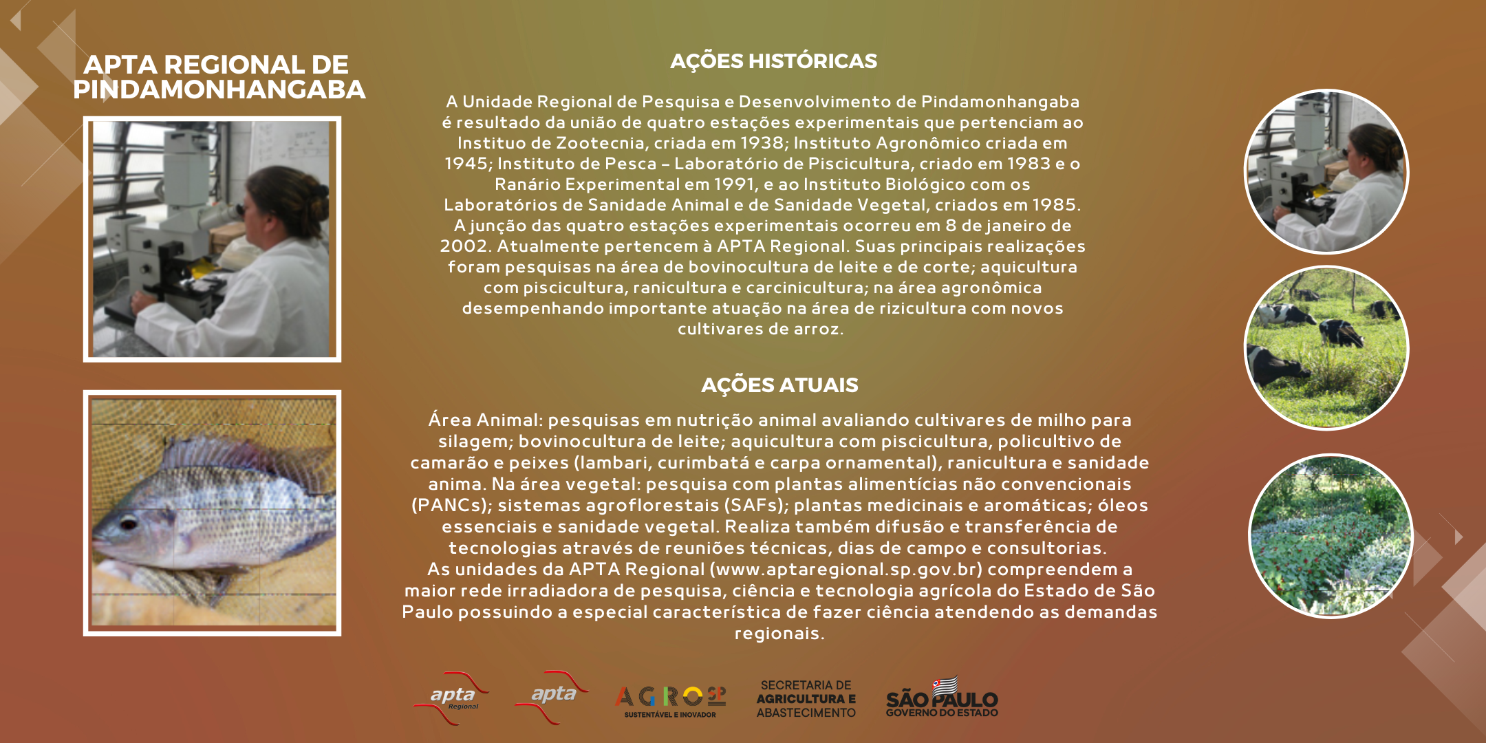 APTA REGIONAL DE PINDAMONHANGABA